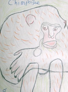 Chimp Drawing, Kibale, Uganda Chimp Drawing, Kibale, Uganda