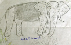 Big ELephant Drawing, Kibale, Uganda Big ELephant Drawing, Kibale, Uganda