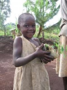 Kyanyawara Tree Girl, Kibale, Uganda