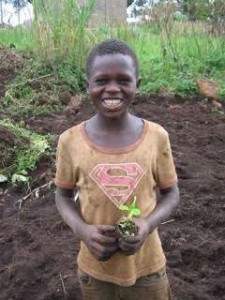 Super Sesbania Boy, Kibale, Uganda Super Sesbania Boy, Kibale, Uganda