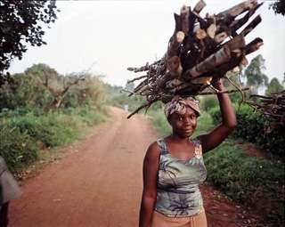 Lady with rain forest wood, Kibale, Uganda Lady with rain forest wood, Kibale, Uganda