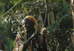 wood lady, kibale fuel wood project, Uganda