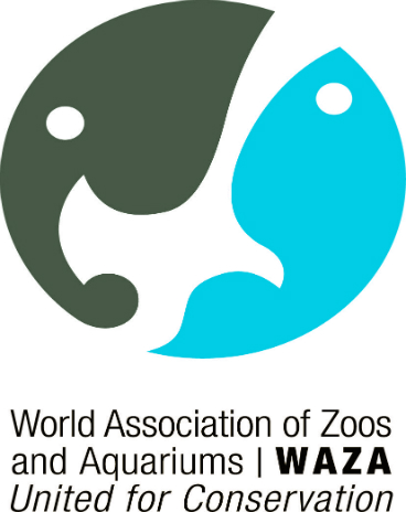 waza logo