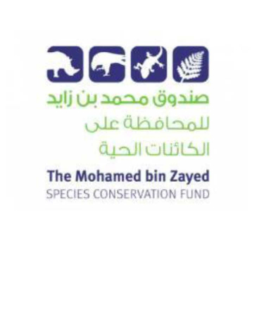 mbz website logo(1)